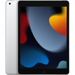 Планшет Apple iPad 10.2 2021 256GB Wi-Fi + Cellular Серебристый / Silver