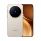 Смартфон Vivo X300 Pro 12/256GB Коричневый / Dune Brown